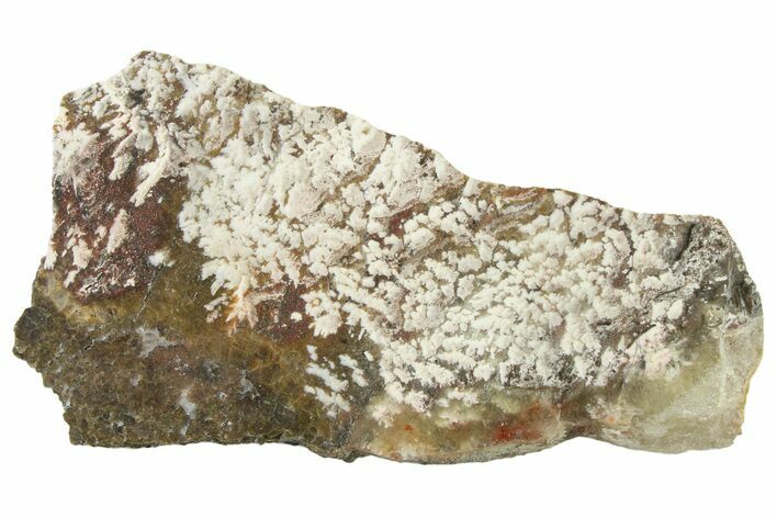 Polished Snow Plume Agate Slab - Mexico #338145